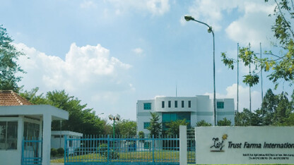 Tập thể CBNV BAC A BANK dâng hoa tưởng niệm và viếng thăm lăng Chủ tịch Hồ Chí Minh